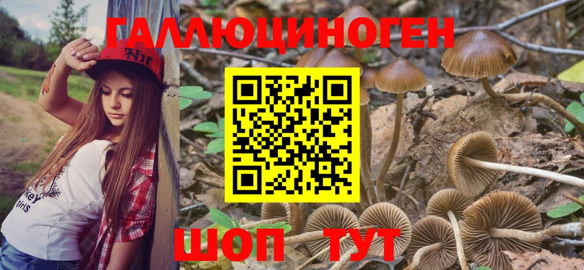 Псилоцибиновые грибы Cubensis Петропавловск-Камчатский