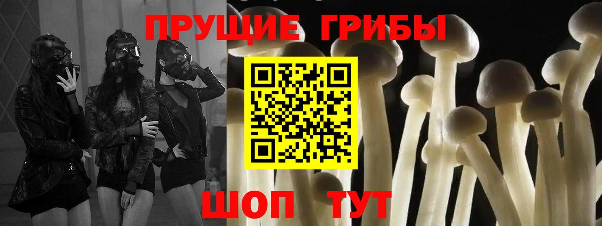 Галлюциногенные грибы ЛСД  Псилоцибиновые грибы Psilocybine cubensis  Вход с VPN  Петропавловск-Камчатский 